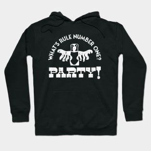 Peanut Butter Falcon - What is rule number One - Party Hoodie